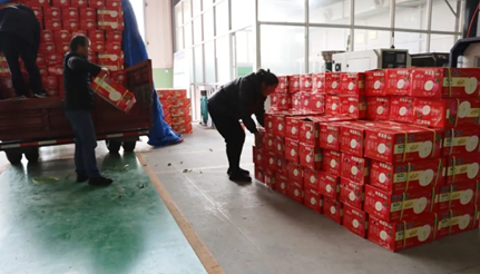 1612660690430446.png image.png